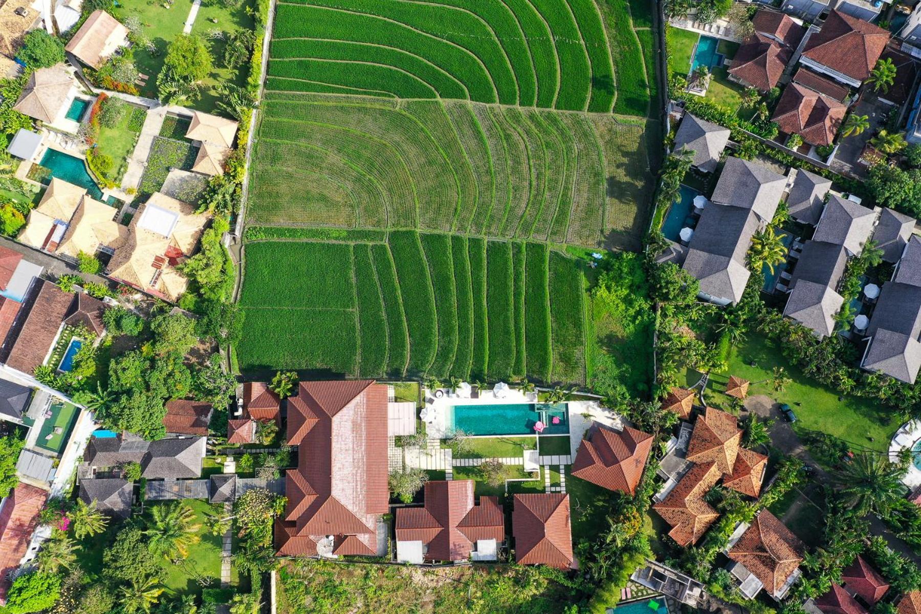 Villa Manis Canggu ภายนอก รูปภาพ